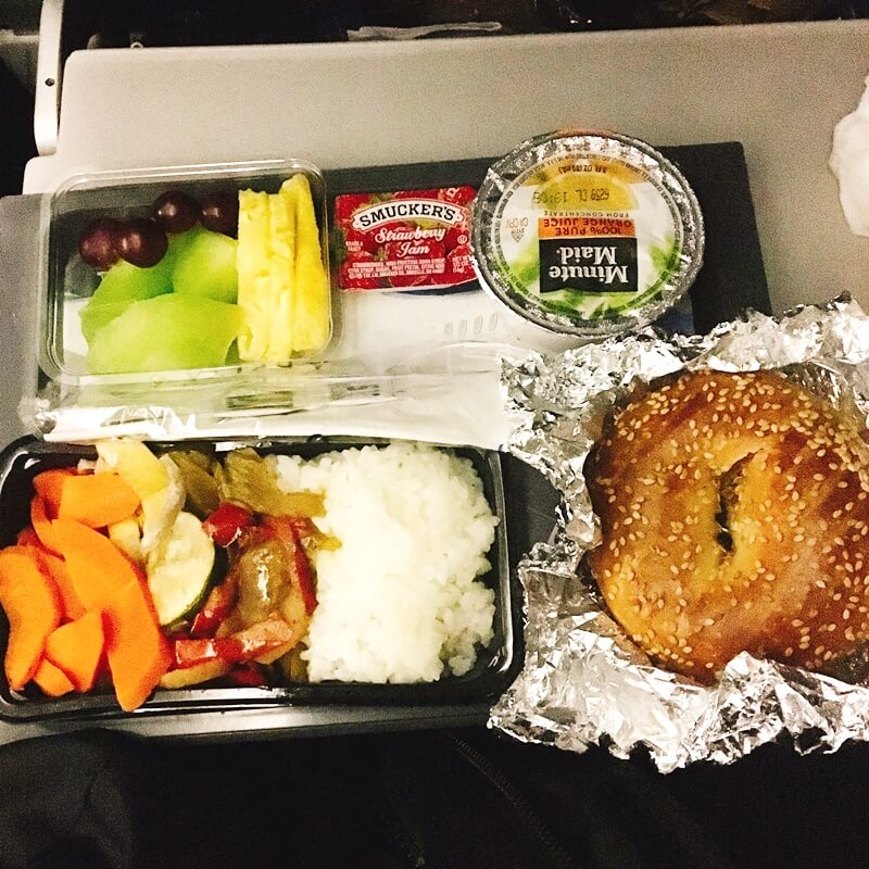 delta airline vegan meal