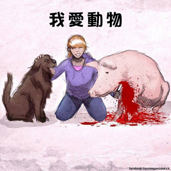 I love animal