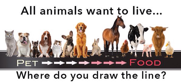 all animals want to live