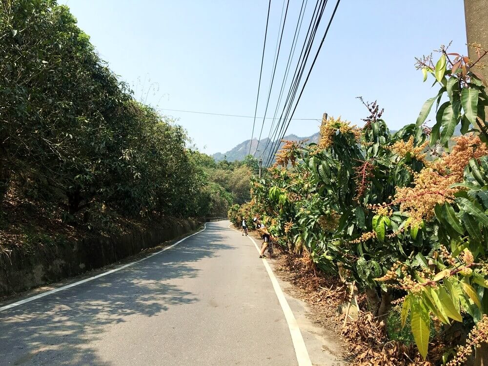 nanhua-cycling-route